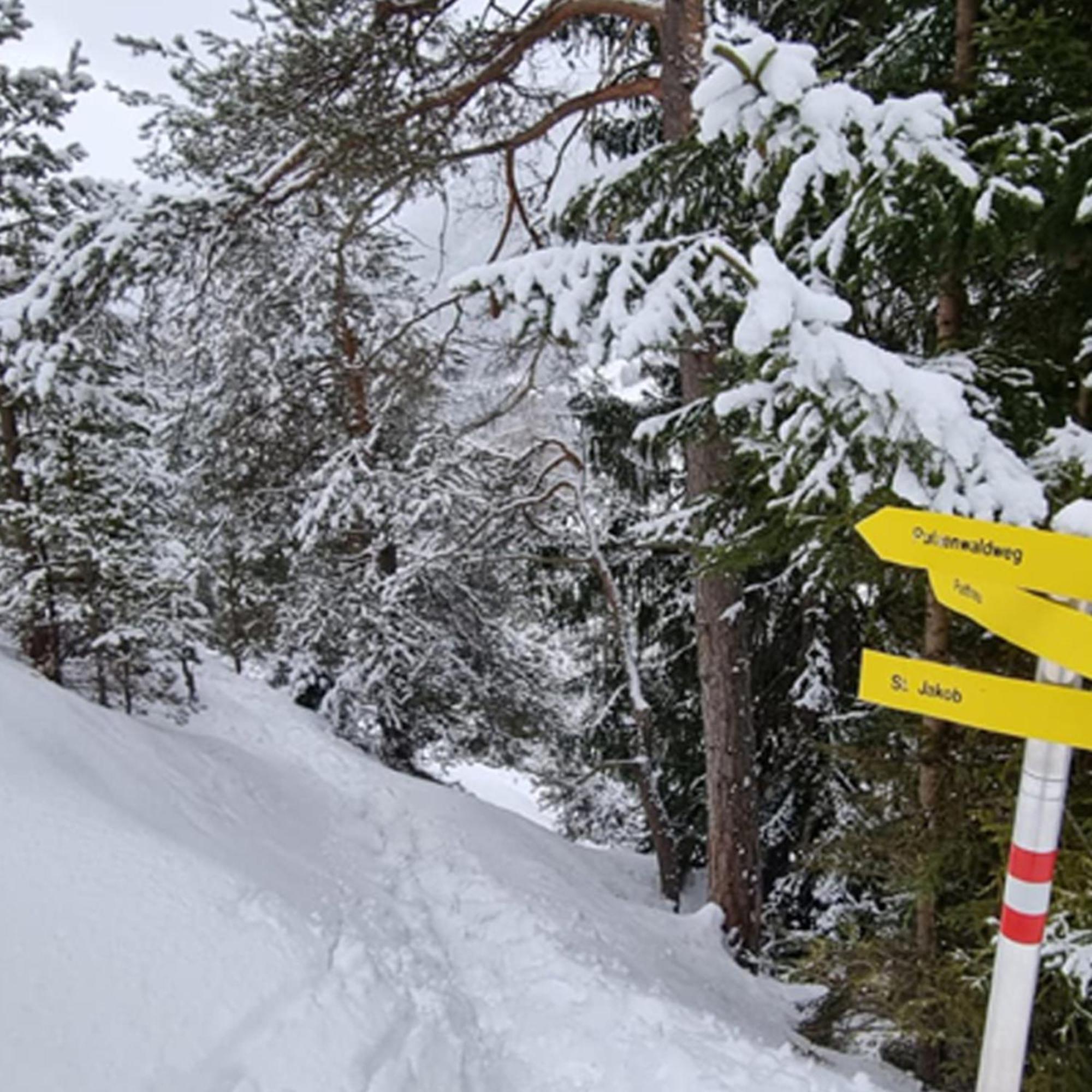 Bergblick Vadiesen Pettneu am Arlberg Ngoại thất bức ảnh