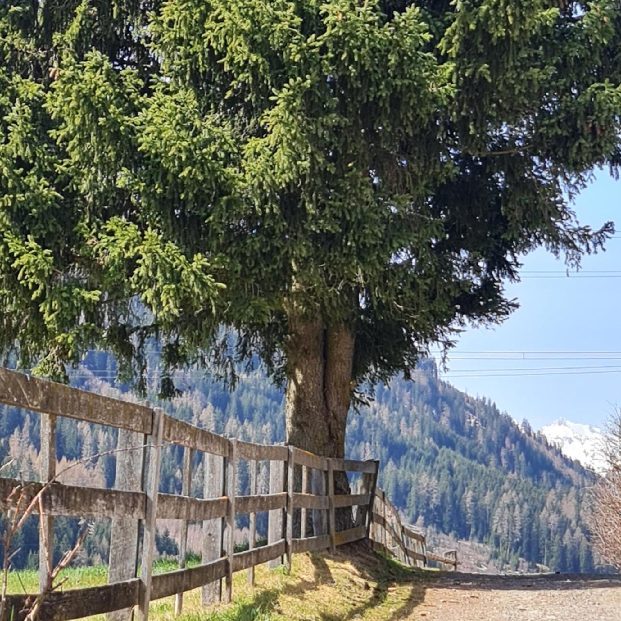 Bergblick Vadiesen Pettneu am Arlberg Ngoại thất bức ảnh